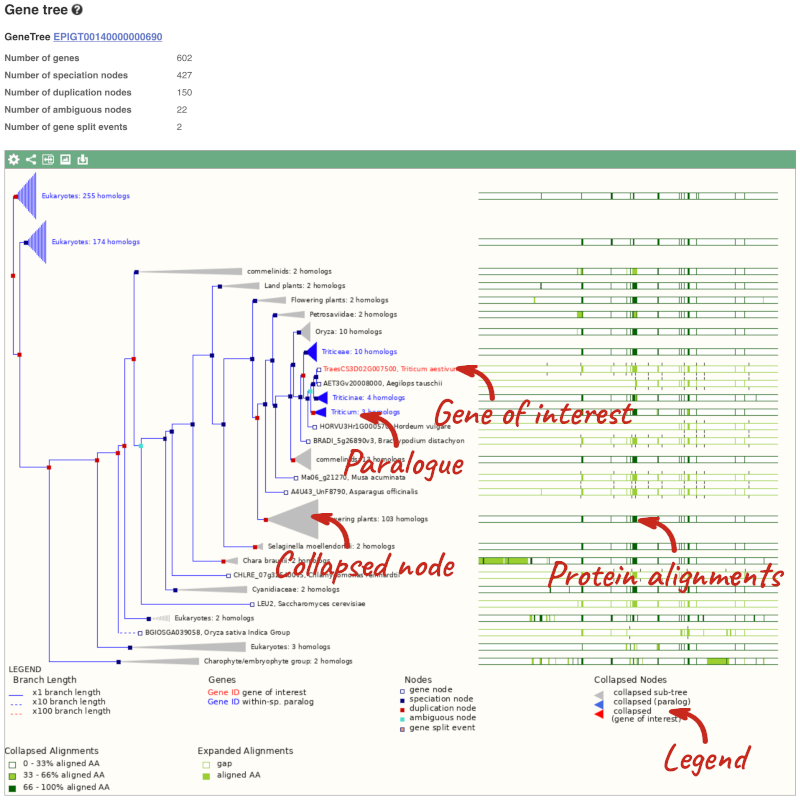 Ensembl Plants Genome Browser – Plant genomes: from data to discovery