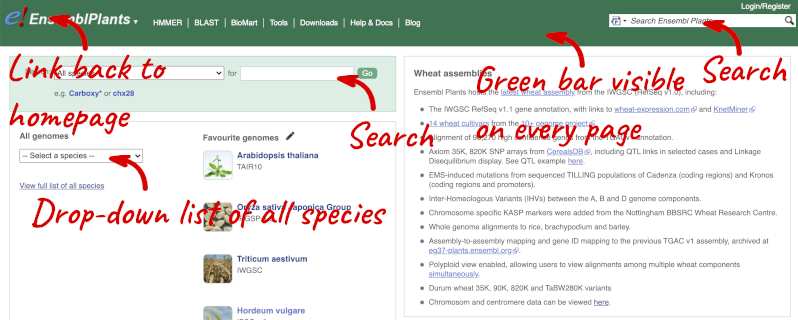 Ensembl Plants Genome Browser – Plant genomes: from data to discovery